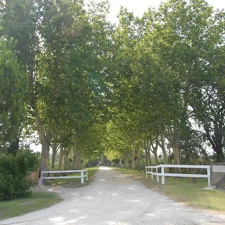 Holiday home Mas Antonelle *