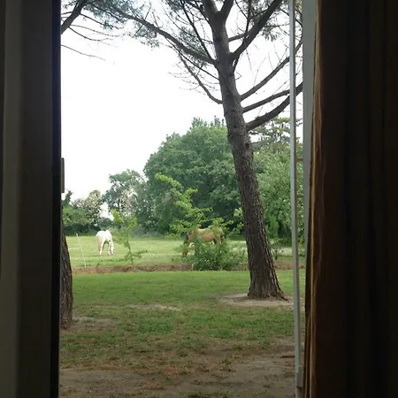 Holiday home Mas Antonelle *